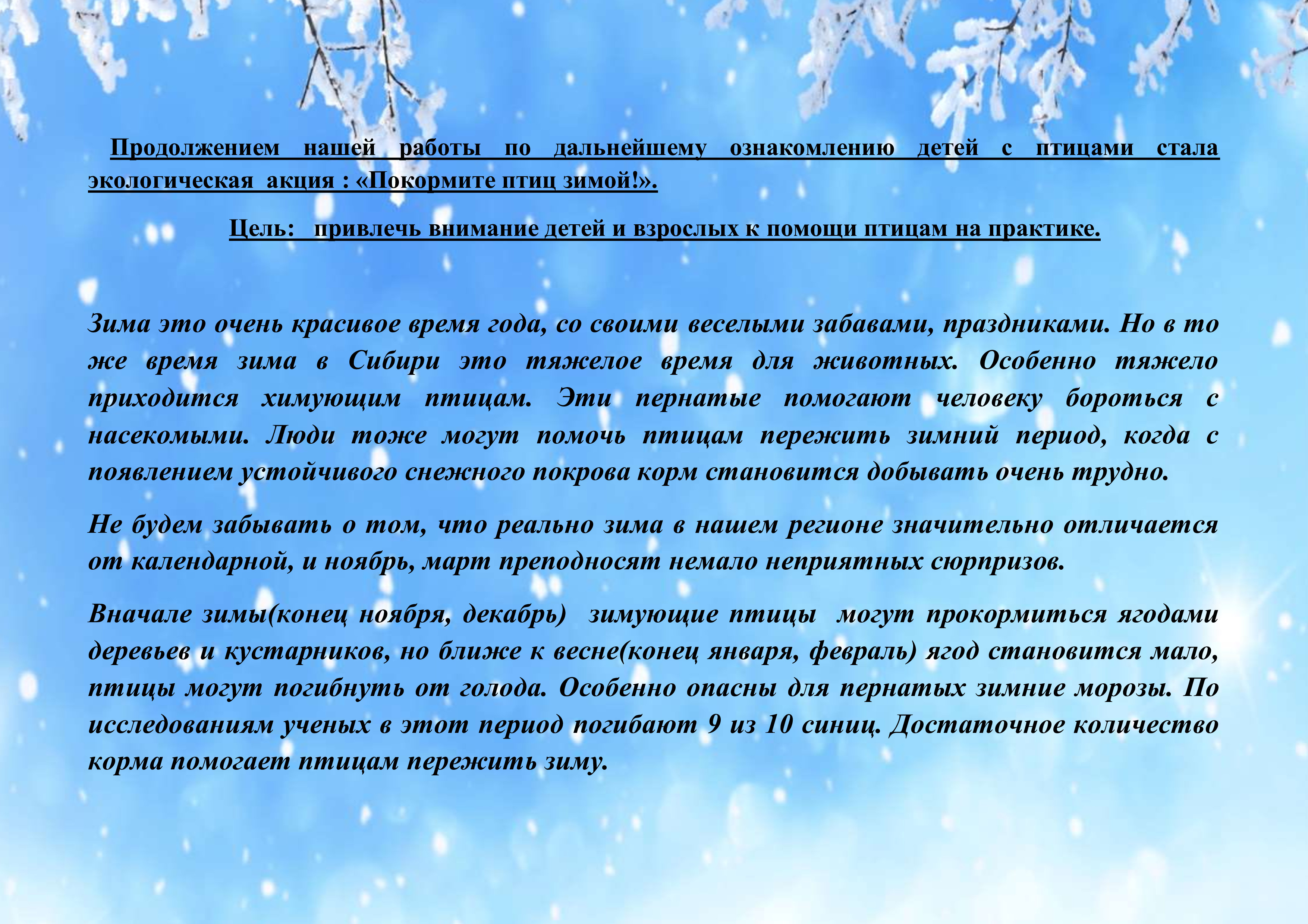 В нашем детском саду проходит экологическая акция «Покормите птиц зимой!» –  МАДОУ 